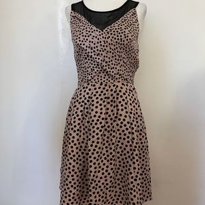 Lauren Conrad Polka Dot Dress